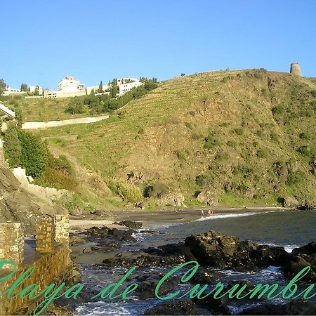 AlmuñécarCasa Marianaアパートメント エクステリア 写真